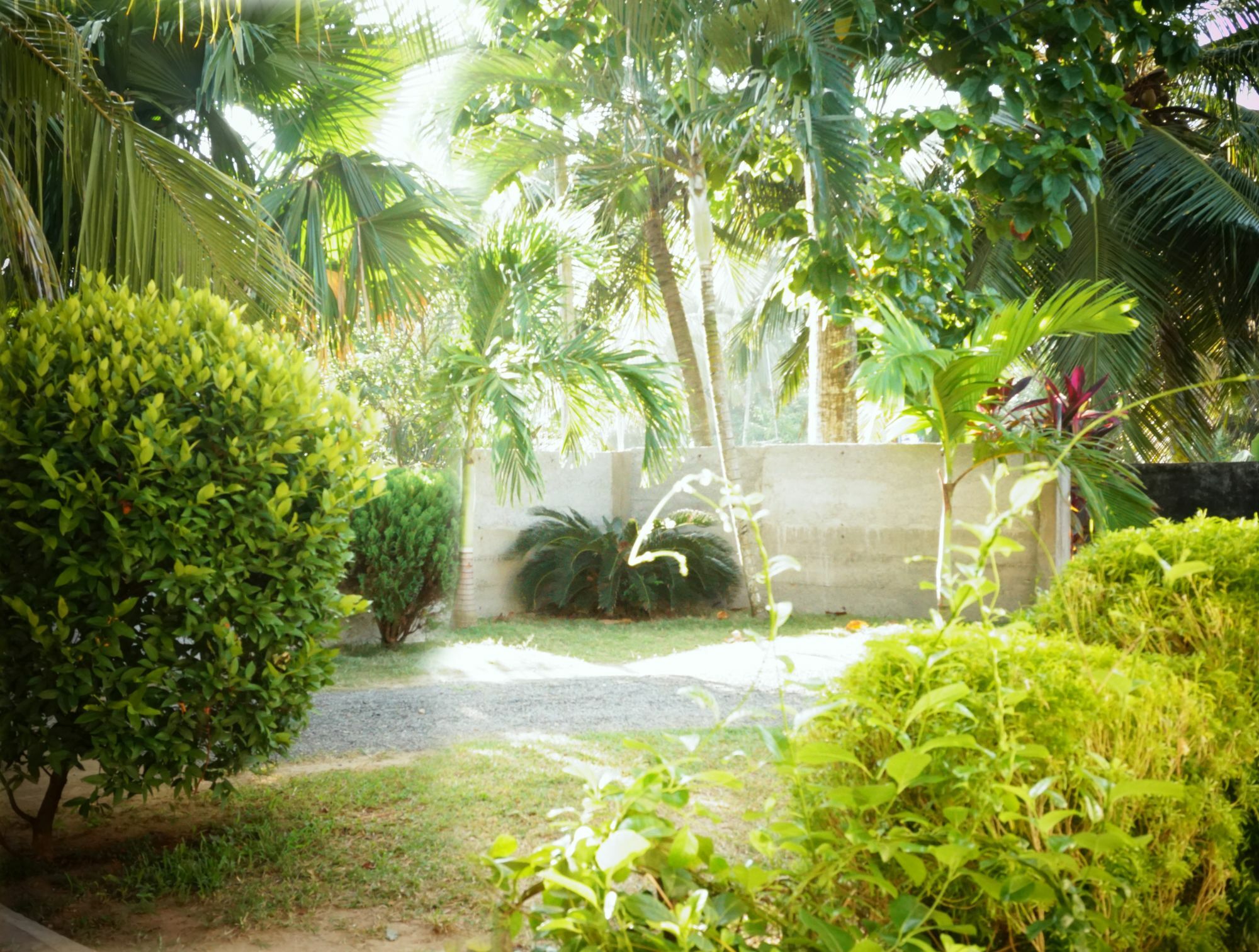 Liana Private Villa Near Tangalle Beach Kültér fotó